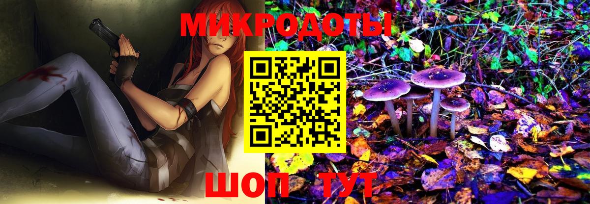 Псилоцибиновые грибы GOLDEN TEACHER Нововоронеж