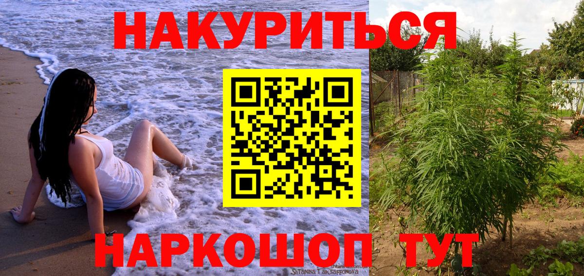 МАРИХУАНА гибрид Нововоронеж